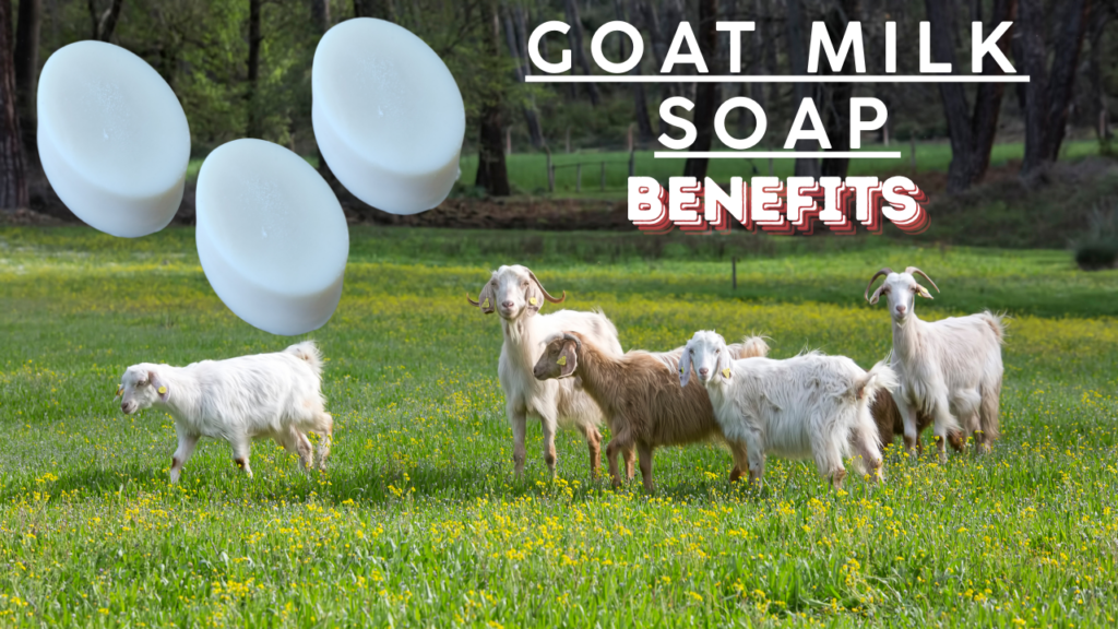 Goat Milk Soap Benefits